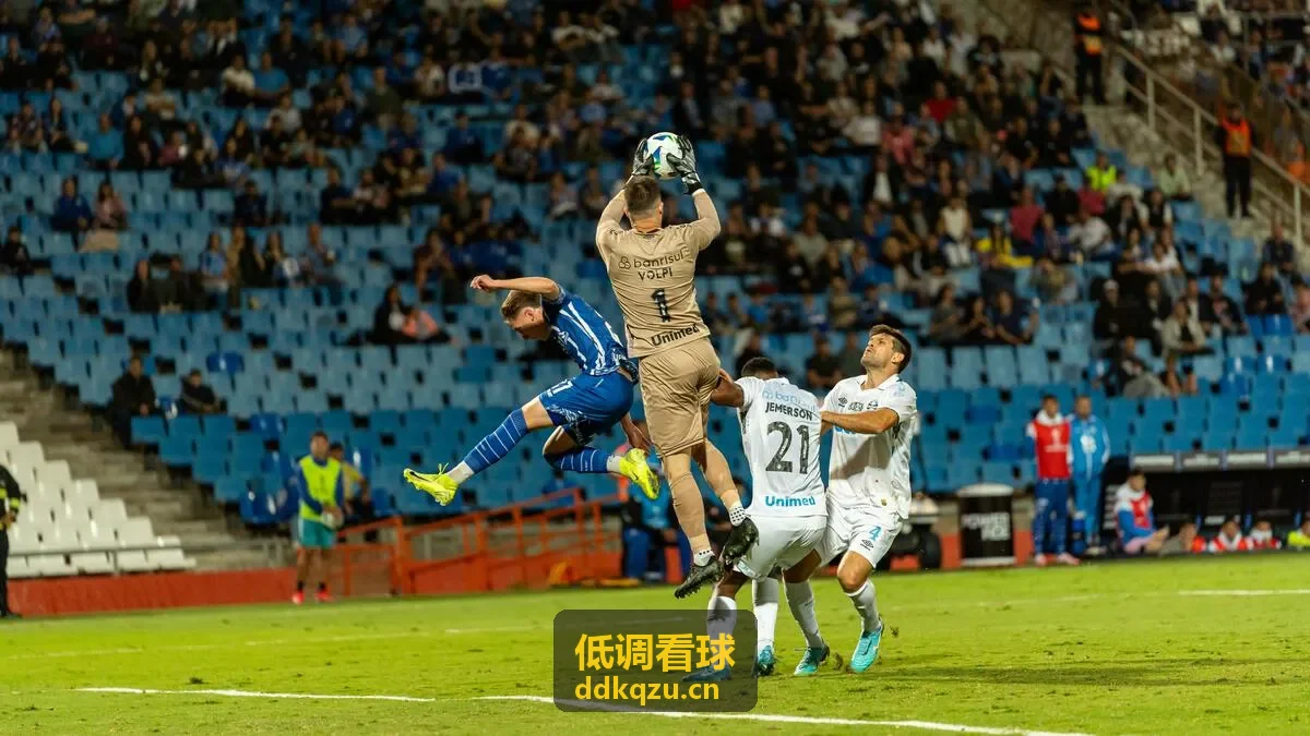 低调看球数据界面
